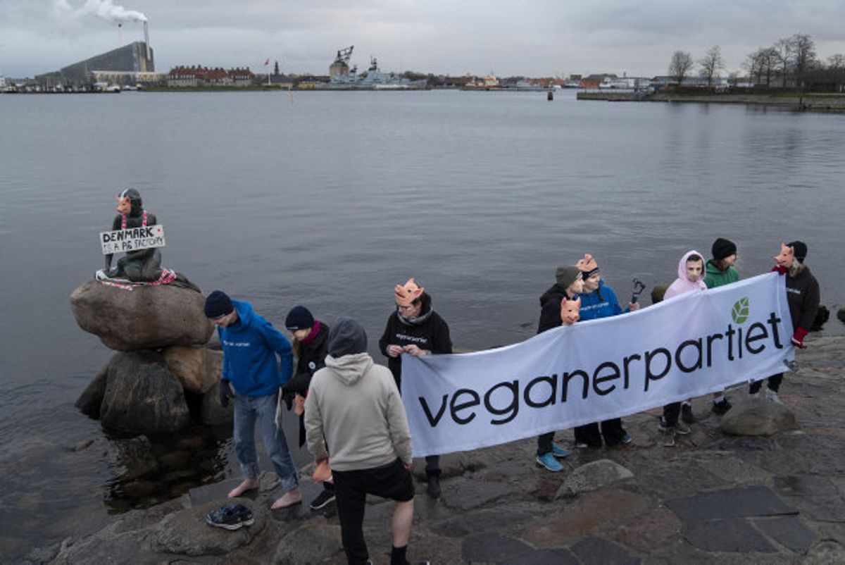 Vælgerne kan stemme på Veganerpartiet ved næste folketingsvalg. (Arkivfoto). Foto: Liselotte Sabroe/Scanpix