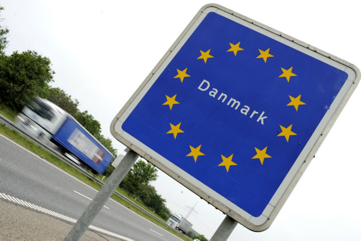 Onsdag formiddag blev en varebil med to polske statsborgere stoppet ved grænsen til Danmark. En af polakkerne forsøgte at få 25 hundehvalpe ind i landet. (Arkivfoto) Foto: Fabian Bimmer/Reuters