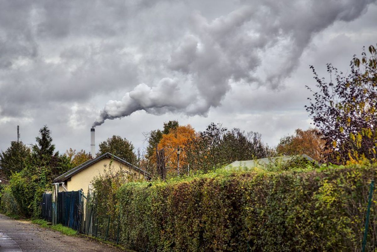 Nabostrid over hække i skel kan løses ved at bestille et hegnsyn. Det koster cirka 1800 kroner at få foretaget et hegnsyn, og betalingen pålægges den tabende part i sagen. (Foto: Colourbox)