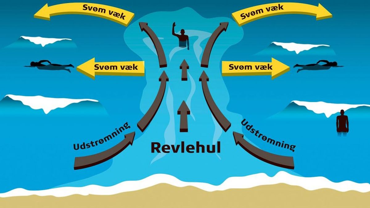 Sådan er et revlehul illustreret. Foto: Trygfonden Kystlivredning