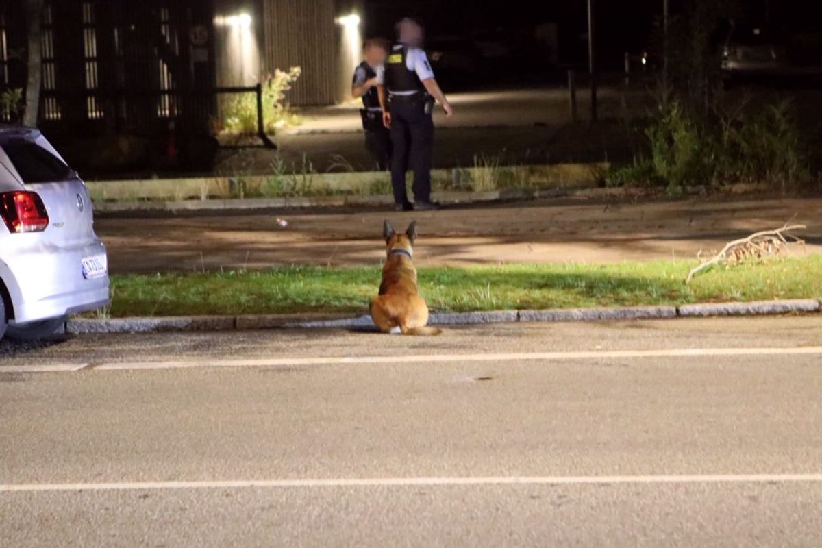 Natten til mandag har politiet efterforsket en anmeldelse af, at der var blevet affyret skud i København. Foto: Presse-fotos.dk