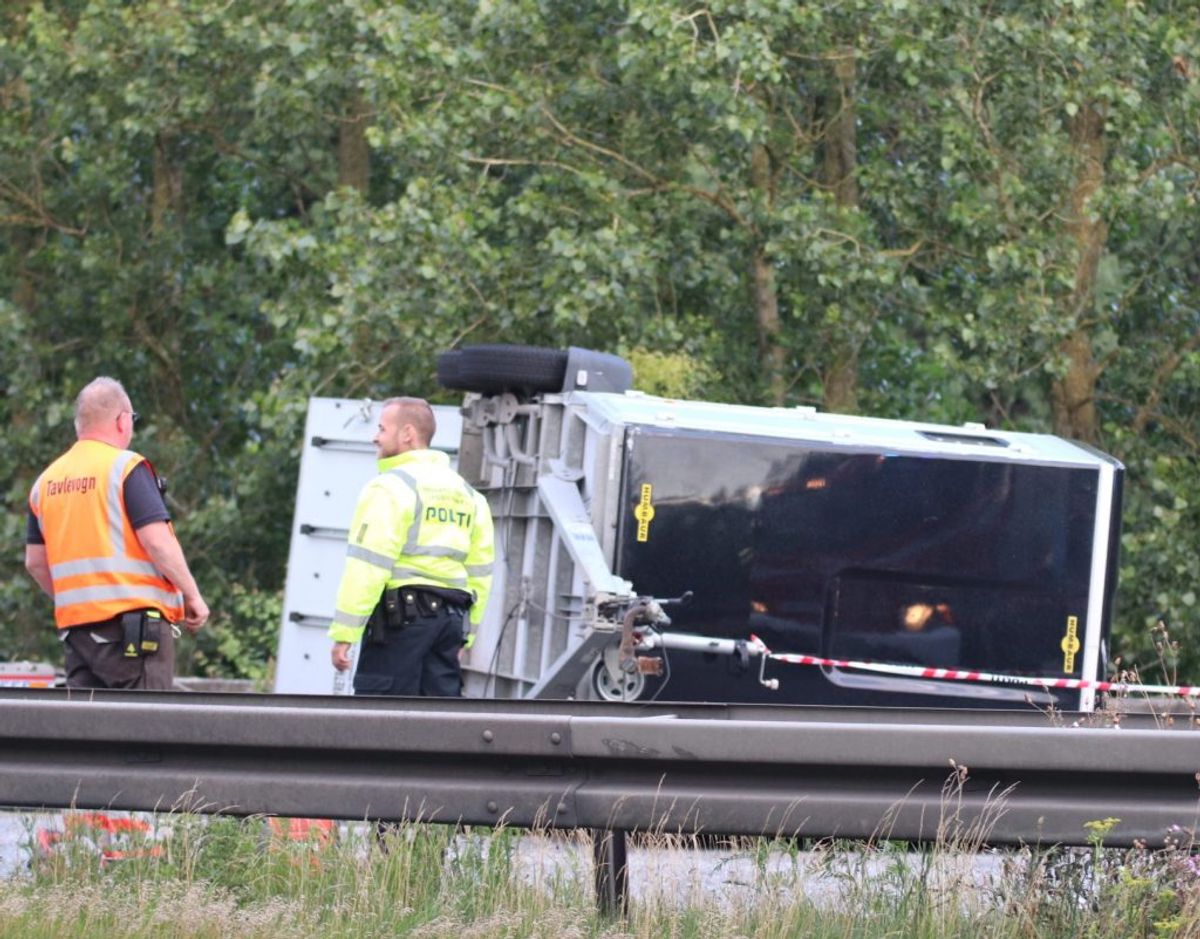 For en hest var uheldet på Østjyske Motorvej torsdag aften fatalt. Foto: Presse-fotos.dk