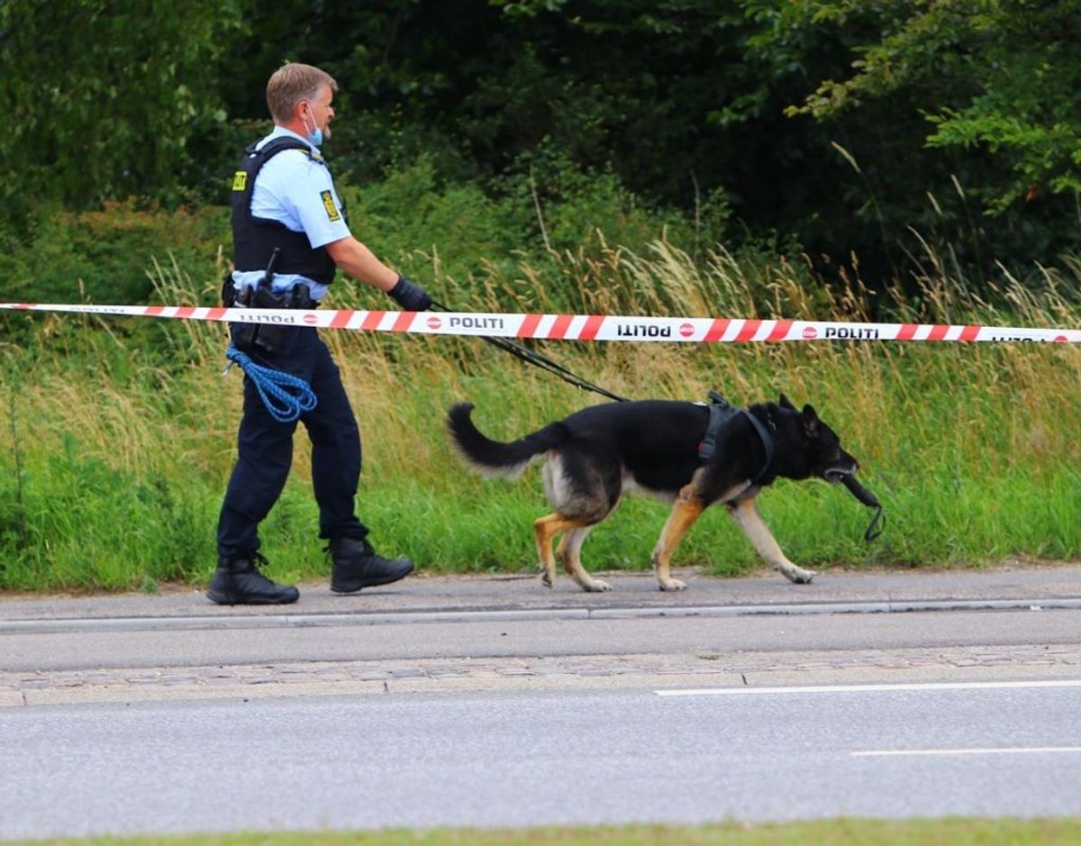 Politiets hundepatrulje på arbejde på stedet. Foto: Presse-fotos.dk