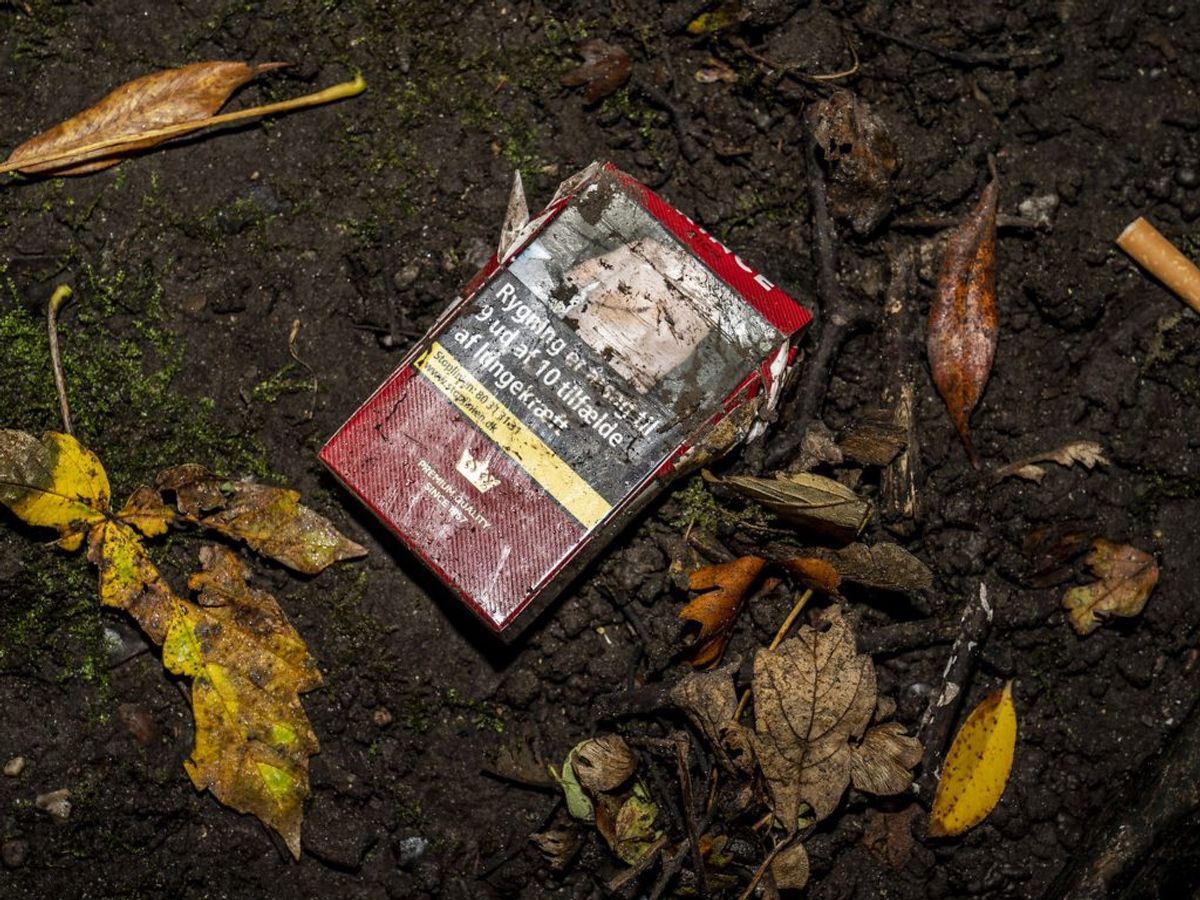 Det kan tage op mod to år at bryde ispapir ned, og fem år at nedbryde cigaretskod. Kilde: Dyrenes Beskyttelse, Naturstyrelsen, Danmarks Naturfredningsforening. Foto: Ritzau Scanpix/ Arkiv