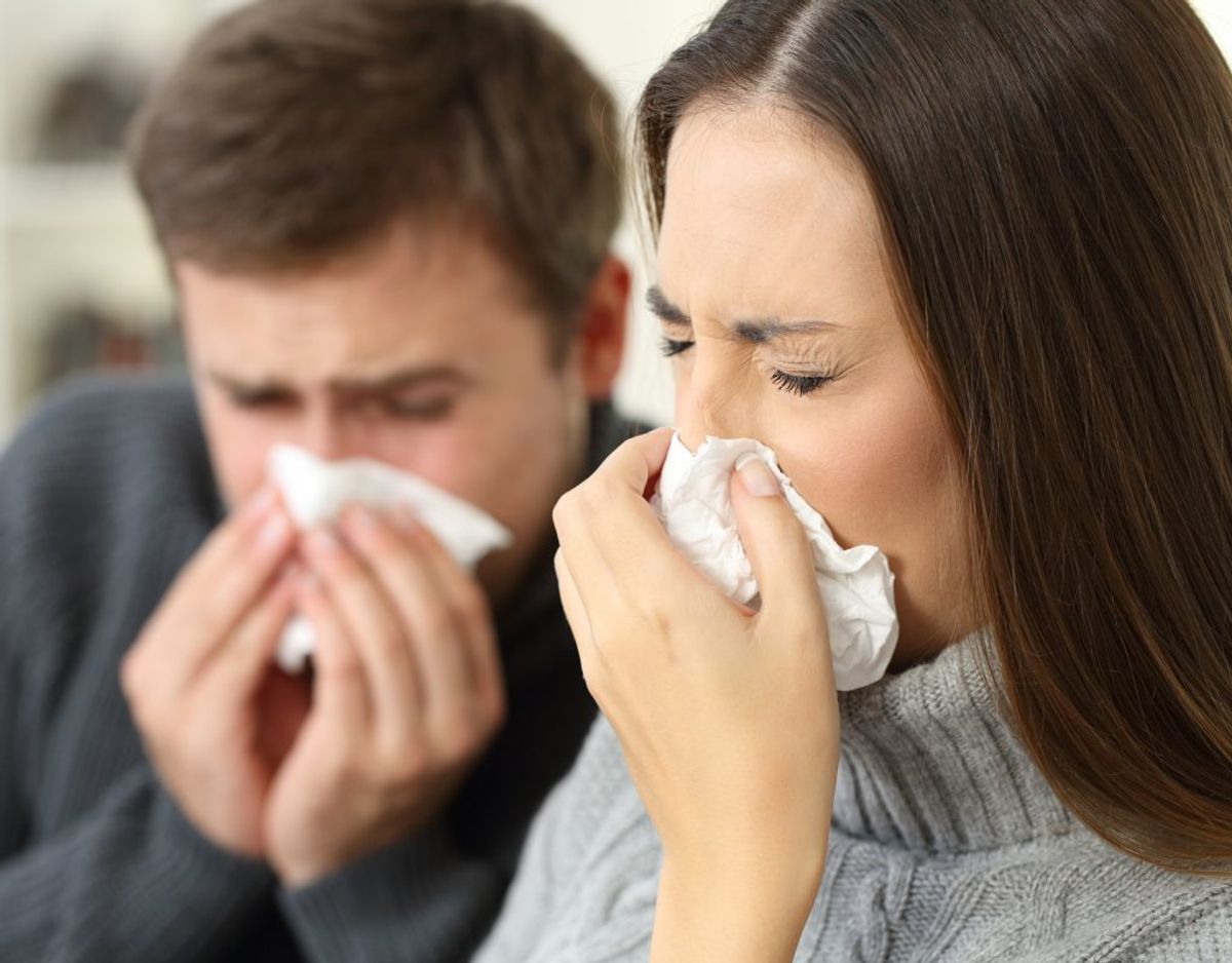 En zoonose er en sygdom, der smitter mellem mennesker og dyr. Nogle af de meste kendte er salmonella, campylobacter og rottesyge. Genrefoto. KLIK for mere.