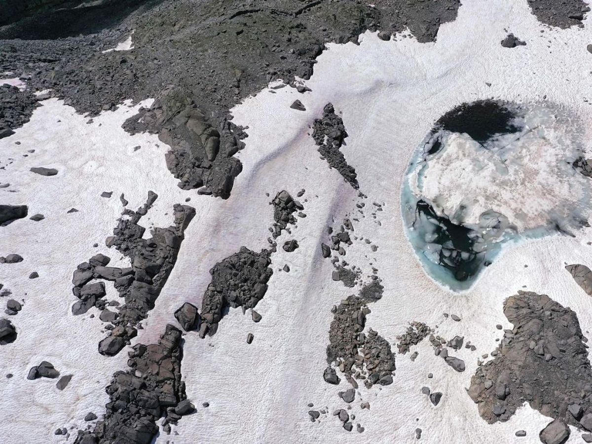 Algen breder sig i takt med, at den får isen og sneen til at smelte. Det frigiver nemlig vigtig vand og luft til algen, så den formerer sig hurtigere. Foto: Scanpix.