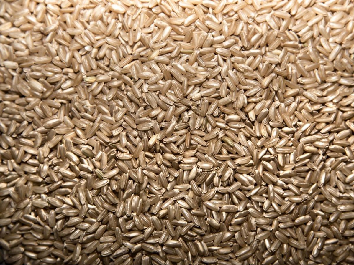 Brune Ris kaldes tilbage af Nordic Food Partners A/S. Risene indeholder et for højt niveau af et kræftfremkaldende stof. Foto: Ida Guldbæk Arentsen/Scanpix 2016/ Arkiv