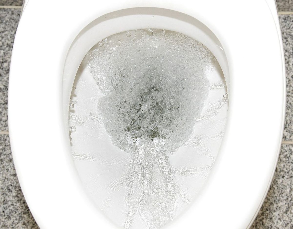 Hold ”låget” på toilettet lukket, når du ikke bruger det. Foto: Scanpix