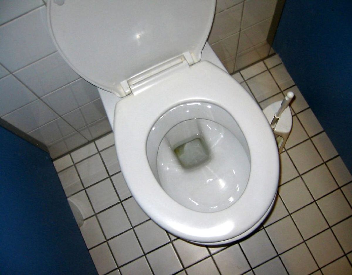Er I mange om at dele toilet – for eksempel på arbejdspladsen – så brug sæderens. Foto: Scanpix