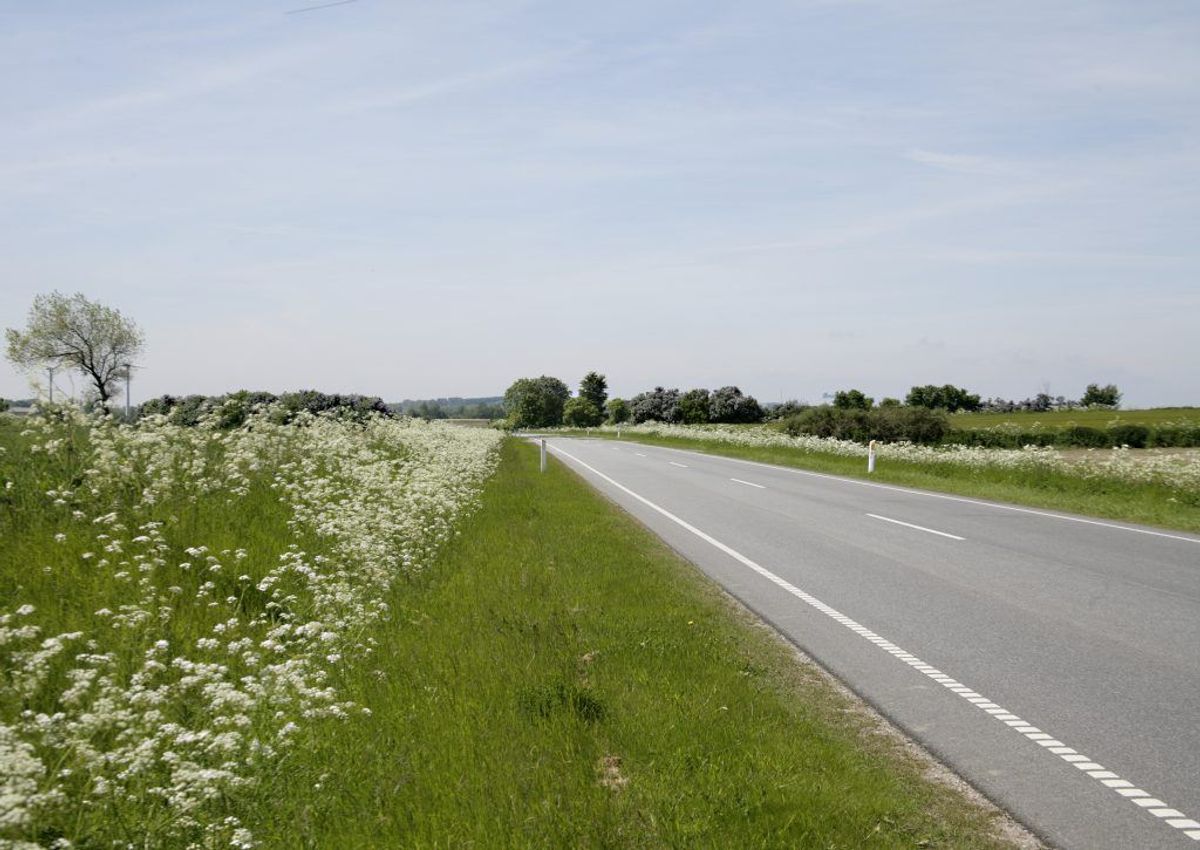 TISSE LANGS VEJKANTEN: Det er o.k. at stoppe i vejkanten, hvis man skal tisse, men kun hvis du sætter dig og tisser på siden eller bag bilen, så du ikke ses af forbikørende. Hvis man tisser i offentligheden på en meget pågående og synlig måde, kan man ikke bare forstyrre den offentlige orden, men også være i nærheden af en blufærdighedskrænkelse. Arkivfoto.