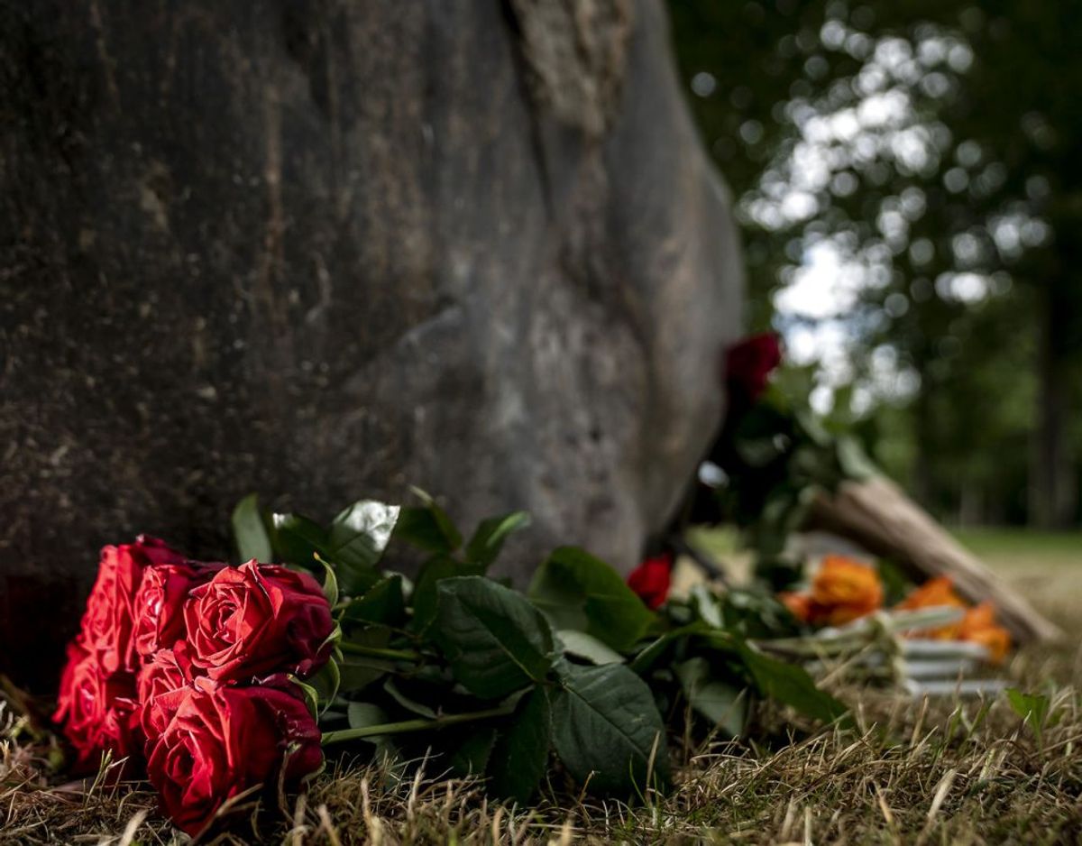 Der er lagt blomster til minde om de ni omkomne under Roskilde Festivalen i 2000 ved Mindelunden på Dyreskuepladsen i Roskilde, tirsdag den 30. juni 2020.. (Foto: Mads Claus Rasmussen/Ritzau Scanpix)