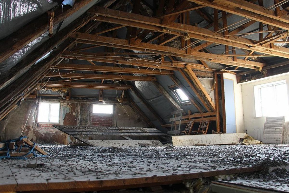 På husets loft er en stor flok duer flyttet ind. Foto: TV2 Østjylland