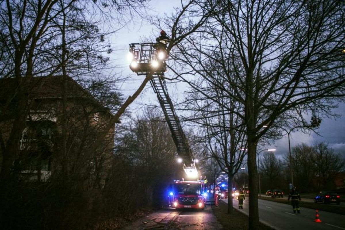 Drejestige anvendt til nedskæring af væltet træ. Foto: Beredskab Øst.