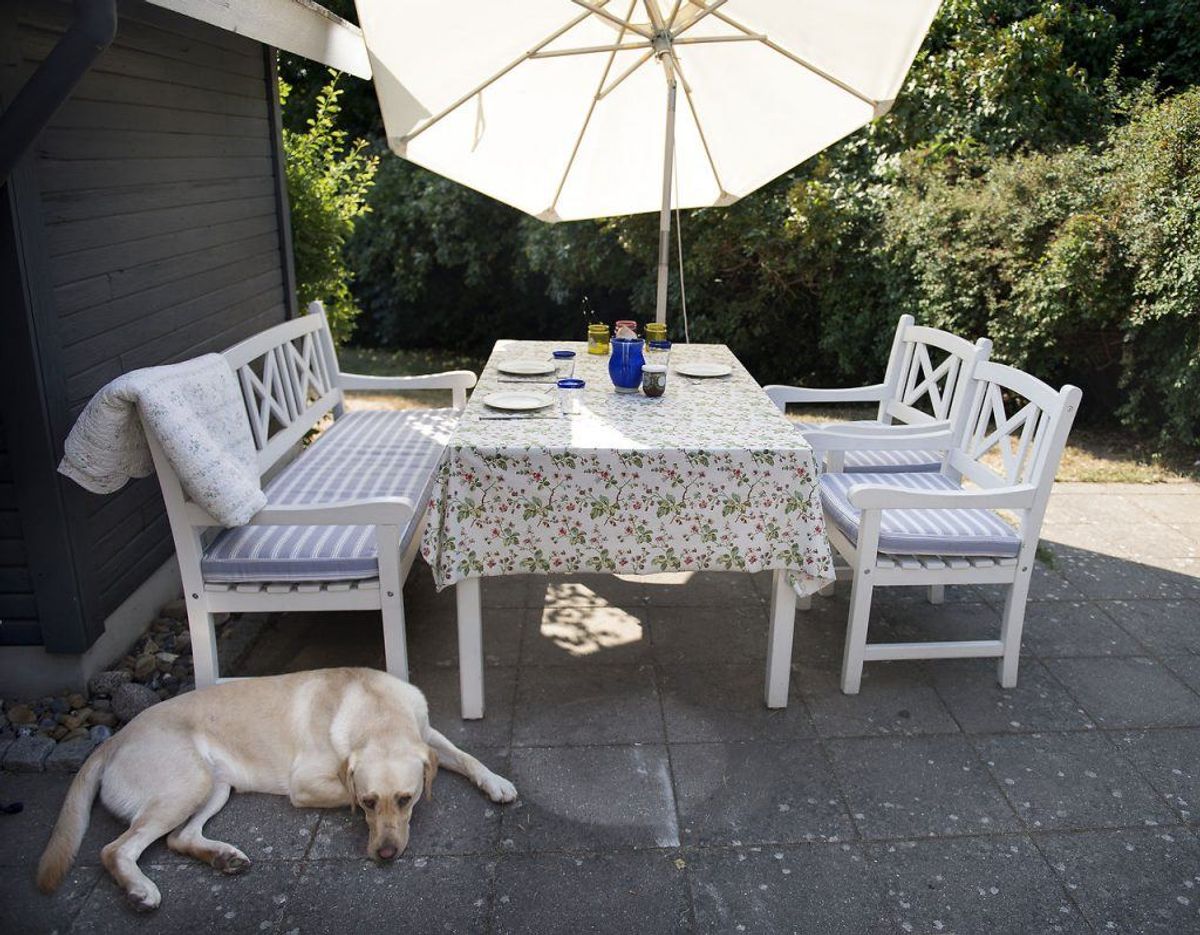 Men det bedste tip er, at man indimellem i solbadningen også slapper af i skyggen, fordi det giver huden ro. Foto: Liselotte Sabroe/Ritzau Scanpix