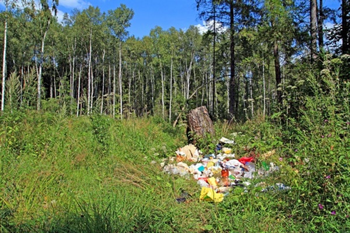 Sørg for at rydde op efter dig selv, når du for eksempel har holdt picnic i naturen. Kilde: Good Housekeeping. Arkivfoto.