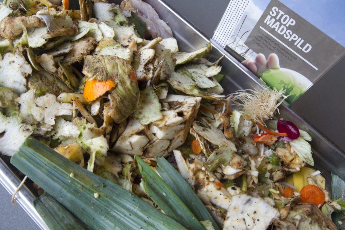 Sørg for at kompostere dine madrester – og ikke bare smide dem ud. Kilde: Good Housekeeping. Arkivfoto.