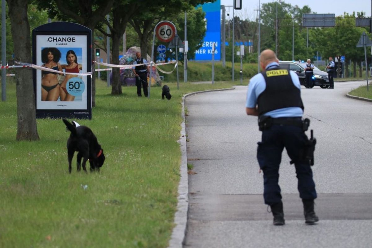 Politiet rykkede talstærkt ud til Askerødbebyggelsen onsdag aften. Foto: Presse-fotos.dk