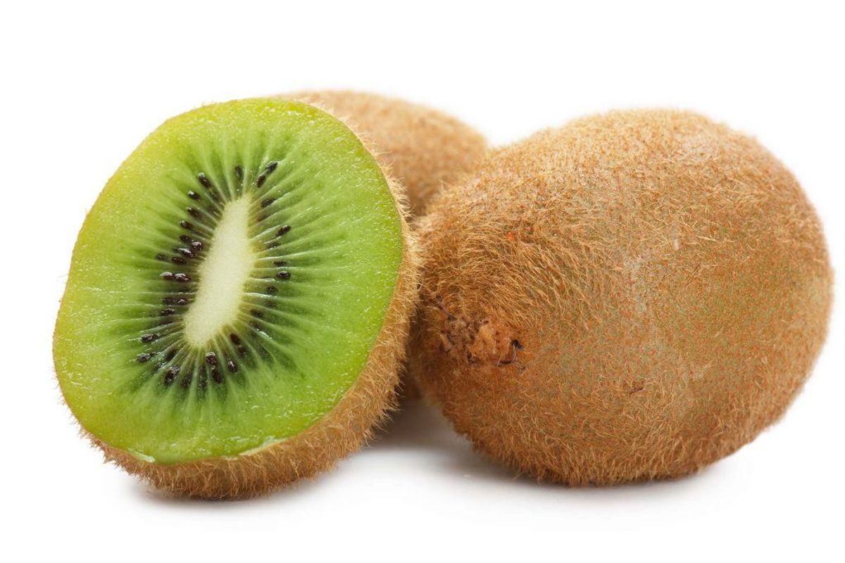 Kiwi. Kilde: Videnskab.dk. Arkivfoto.