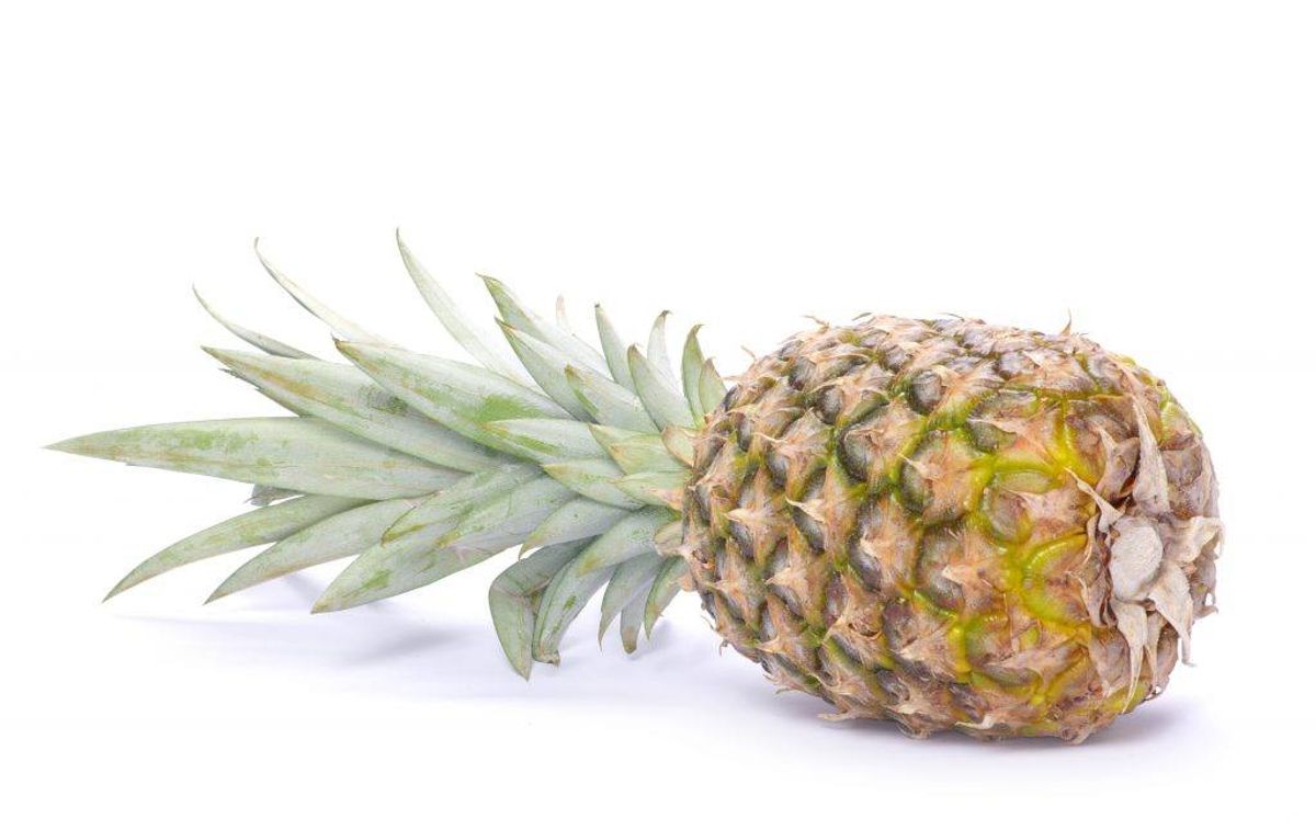 Ananas. Kilde: Videnskab.dk. Arkivfoto.