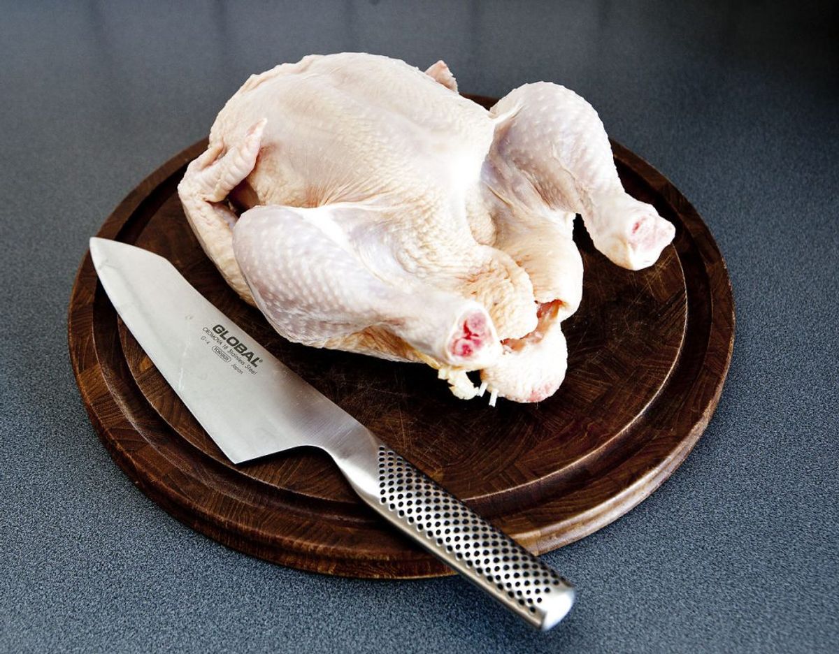 Frilandskylling betyder, at kyllingen har været fritgående. Fritgående kyllinger har på mange måder samme levevilkår som økologiske kyllinger, mens fritgående kyllinger kan få konventionelt foder. Genrefoto: Bax Lindhardt/Scanpix.