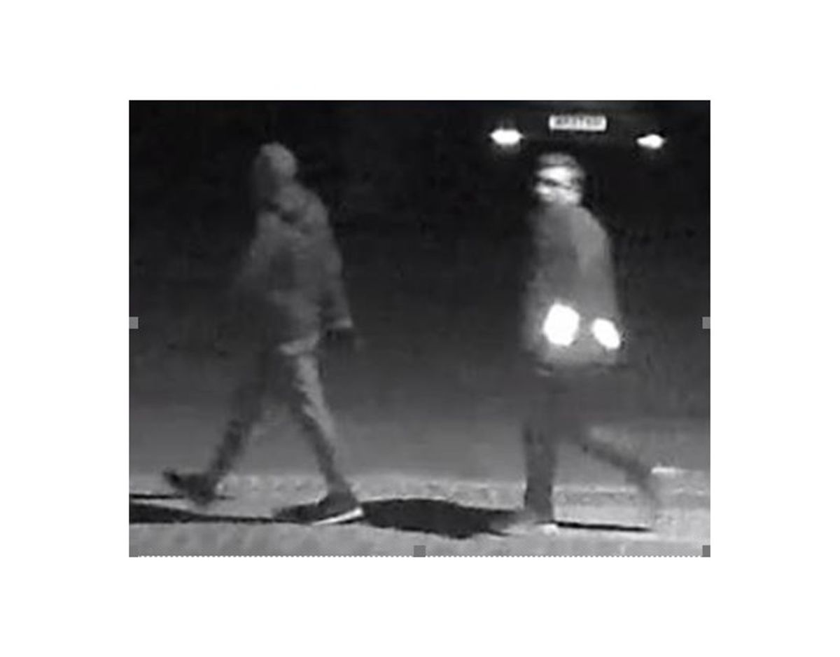 Indbrudstyvene har slået til på Højgårdstoften, Piletoften, Baunevej, Birkehegnet og Budstikken i den sydvestlige del af Høje Taastrup. Politiet håber borgere i nærheden vil tjekke deres overvågning for de to indbrudstyve. Foto: Københavns Vestegns Politi