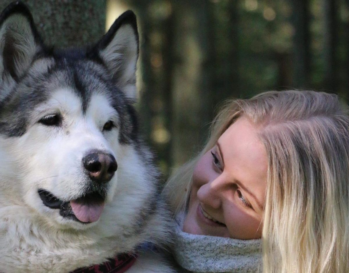 Mia fandt en brystknude hos sin hund, der heldigvis viste sig ikke at være kræft. Det er dog stadig en god idé, at man som hundeejer sætter sig ind, hvilke symptomer på kræft hos hunde, man bør være særligt opmærksom på. KLIK VIDERE OG SE DE TYPISKE KRÆFT-TEGN HOS HUNDE, SOM DU SKAL TAGE ALVORLIGT. Foto: @nordicmalamutes