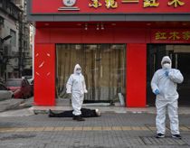 Nyt studie: Sådan opstod corona