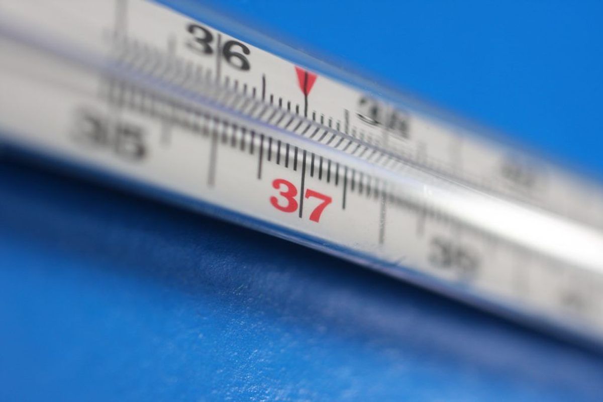 Temperaturen i køleskabet skal højst være +5 grader. Det er derfor en god idé med et termometer, så du kan holde øje med temperaturen. Kilde: Min Måltidshåndbog. Arkivfoto.