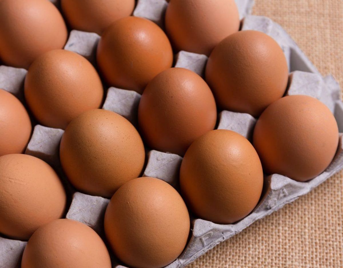 Pustning af æg til påske: Forekomsten af salmonella i æg, man køber i danske butikker, er nu så lav, at der ikke bør være nogen risiko for at blive syg af salmonella, når man puster æg. Hvis du vil være helt sikker, kan du spritte ægget af. Foto: Scanpix