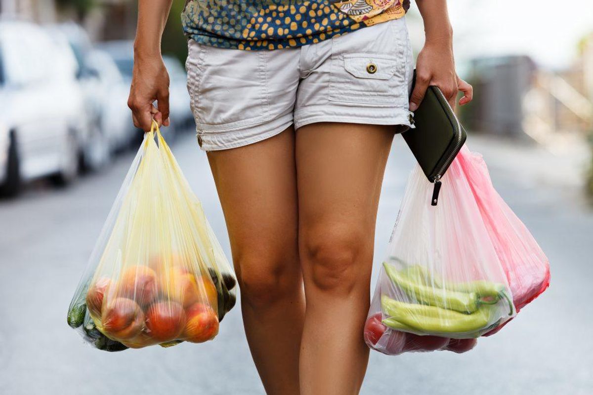Begræns dit forbrug af plastiskposer. Det gælder både indkøbs- og skraldeposer. Husk et net til når du handler ind og køb skraldeposer, der er lavet i tyndt genbrugsplast.
Arkivfoto: SCANPIX