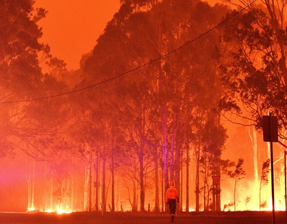 I byen Nowra i delstaten New South Wales har himlen farvet rødorange på grund af de ekstremt mange brande, som hærger.
KLIK VIDERE OG SE FLERE BILLEDER. Foto: Saeed Khan/Ritzau Scanpix