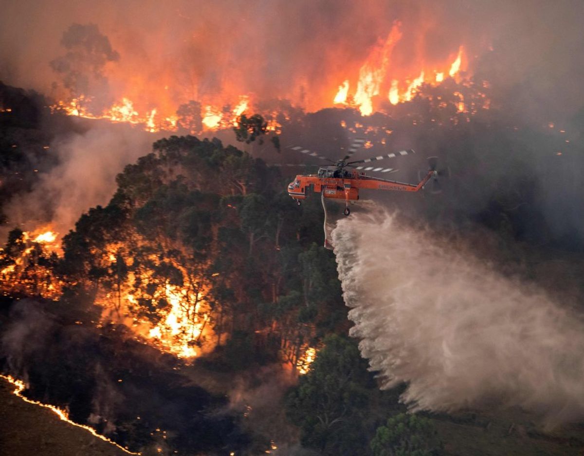 De mange naturbrande bliver bekæmpet både af brandmænd på jorden, men også fra luften. På trods af at der gennem flere uger er blevet hældt uanede mængder vand på flammerne, spreder ilden sig på grund af det meget varme, tørre vejr samt vinden. På billedet ses et område i regionen East Gippsland i delstaten Victoria, der er et yndet rejsemål for mange turister. Foto: Handout/Ritzau Scanpix