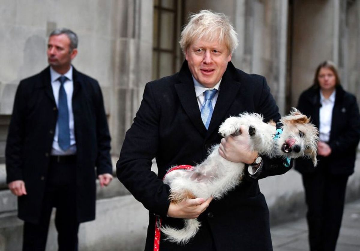 Boris Johnson tog sin hund Dilyn med til stemmeboksen. KLIK VIDERE OG SE FLERE BILLEDER AF DE MANGE HUNDE VED VALGSTEDERNE. Foto: Scanpix