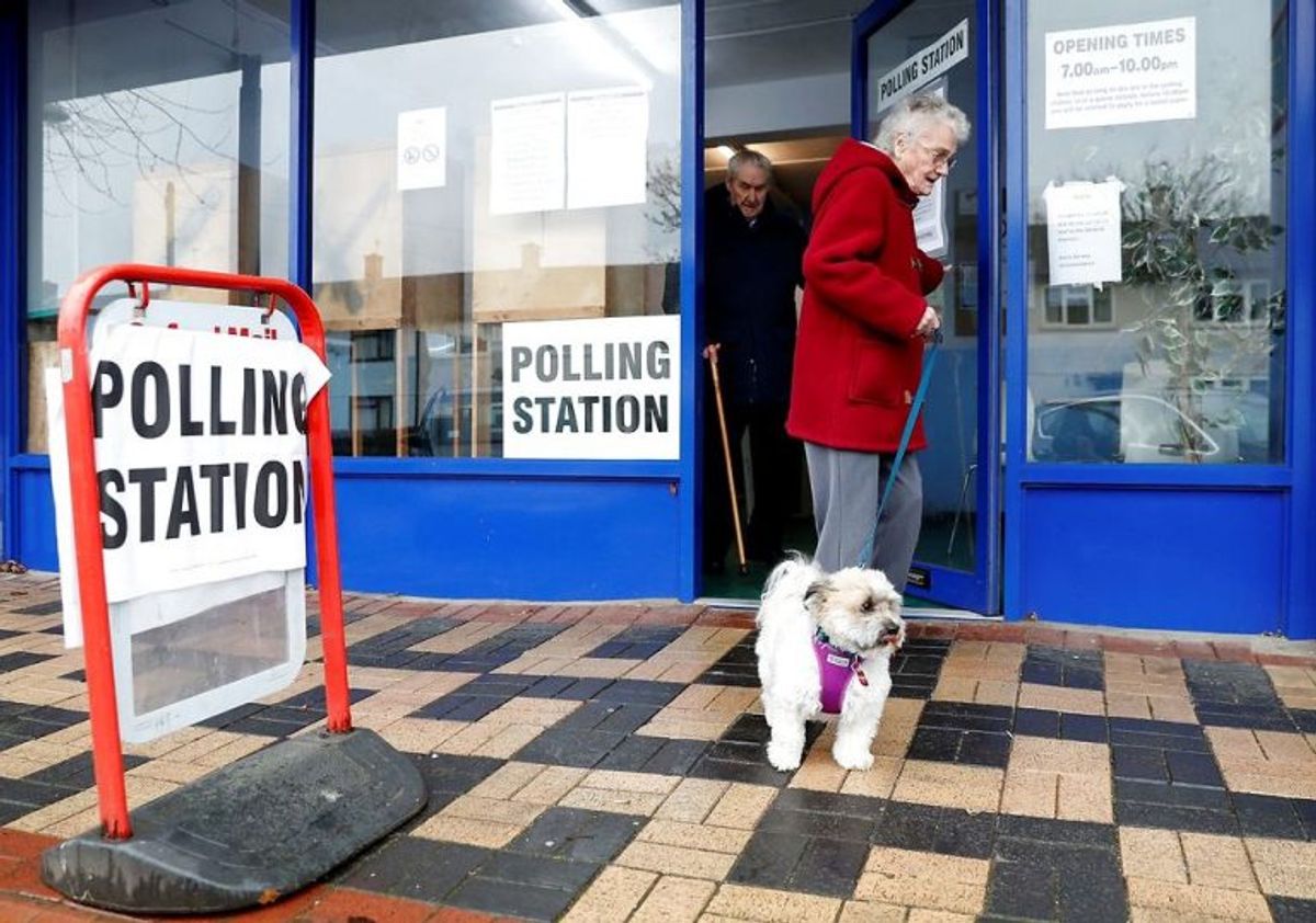 Der er massevis af hunde, der er taget med til valg. Foto: Scanpix