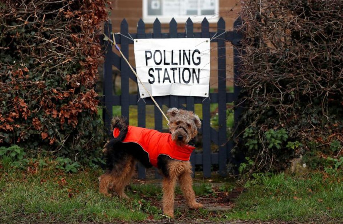 Der er massevis af hunde, der er taget med til valg. Foto: Scanpix
