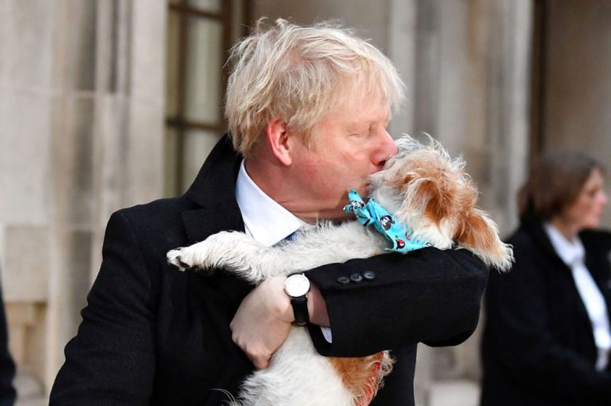 Boris Johnson tog sin hund Dilyn med til stemmeboksen. KLIK VIDERE OG SE FLERE BILLEDER AF DE MANGE HUNDE VED VALGSTEDERNE. Foto: Scanpix