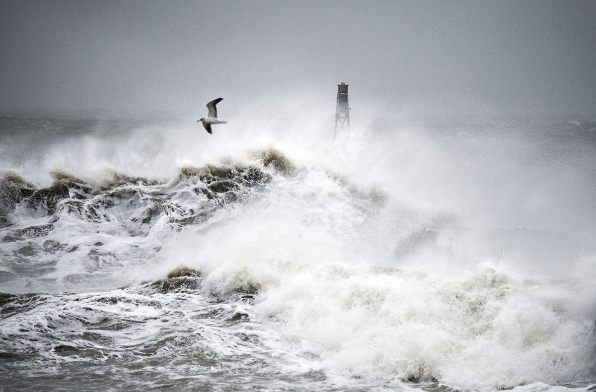 DMI advarer mod voldsomme vindstød. Helt op til stormstyrke. KLIK og se, hvor det rammer. Foto: Henning Bagger/Ritzau Scanpix.