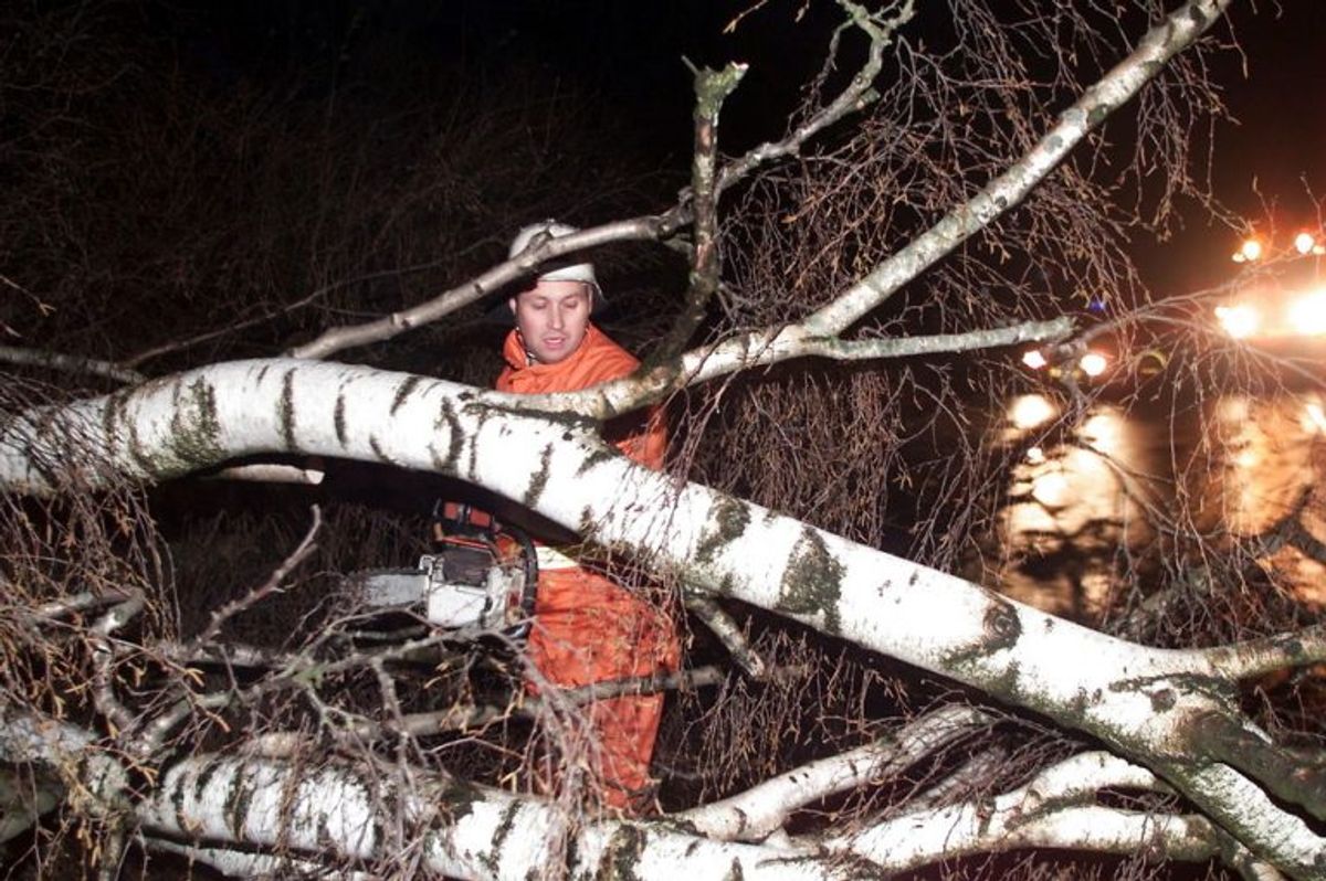 Der varsles vind af orkanagtig styrke over hele lander fredag 17. dec. 1999. Billedet er fra orkanen for to uger siden, hvor en Falckmand rydder vejen mellem Haslev og Ringsted for et knækket birketræ. NORDFOTO/ Søren Steffen 1999