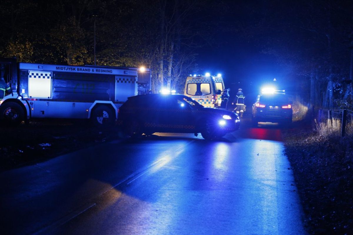 Manden påkørte et træ. KLIK FOR FLERE BILLEDER. Foto: Presse-fotos.dk