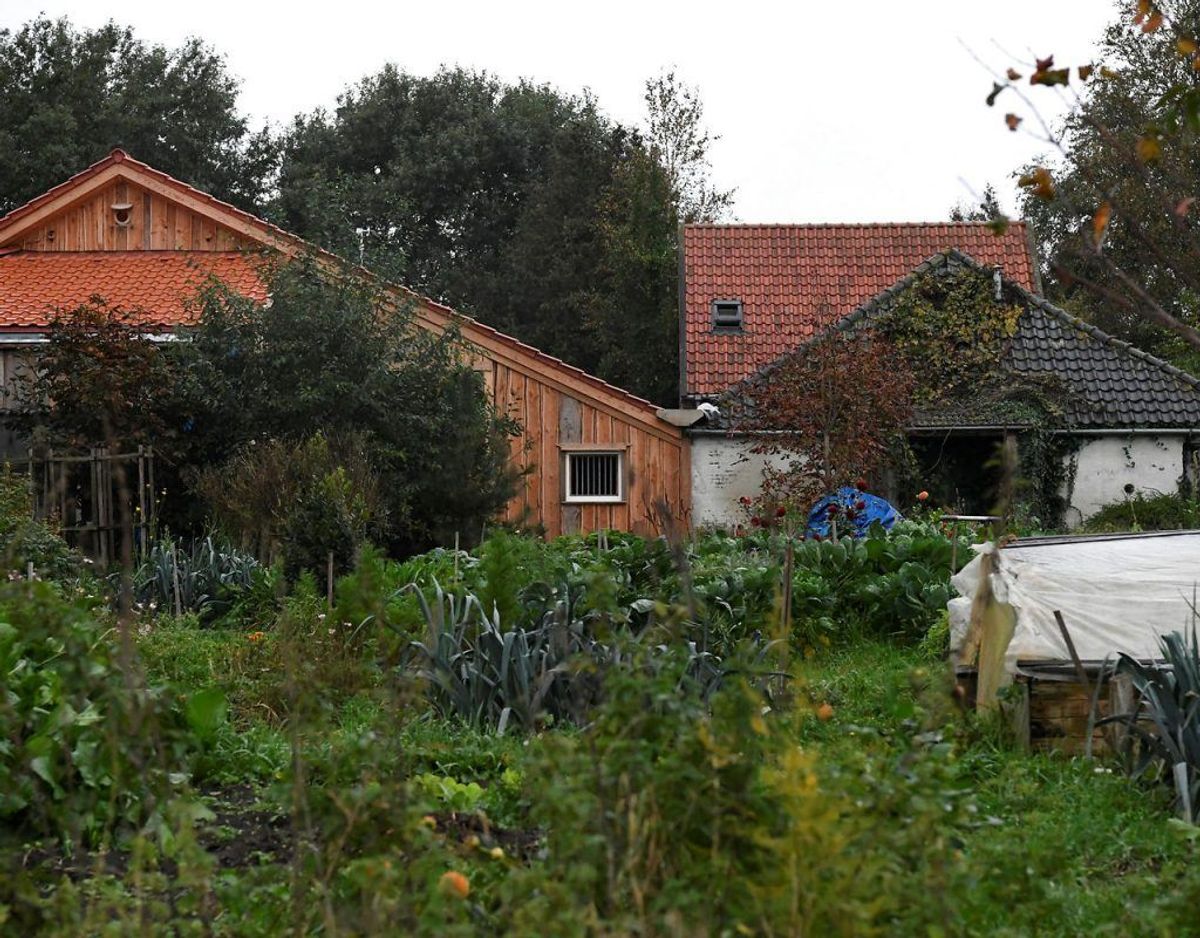 Bag et skab fandtes en hemmelig trappe til en aflåst kælder. Foto: Scanpix/Piroschka van de Wouw