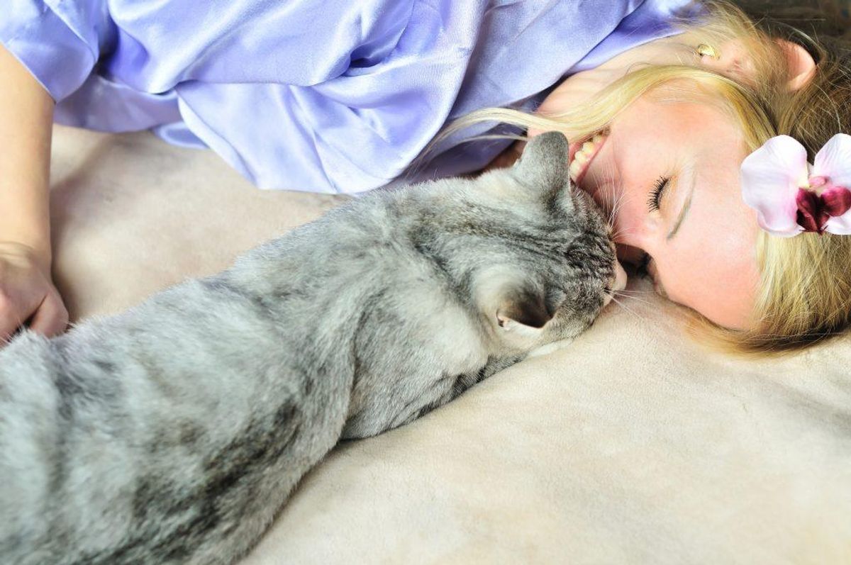 Når man kæler for sin kat udskilles “kærlighedshormonet” oxytocin. Det giver en følelse af velvære.