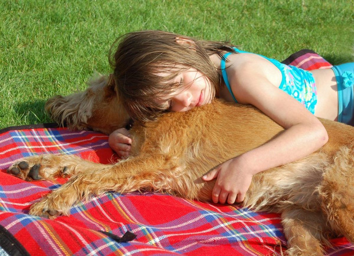 Børn der vokser op med husdyrhold, hund eller kat menes at have et stærkere immunforsvar og lavere risiko for at få eksem.