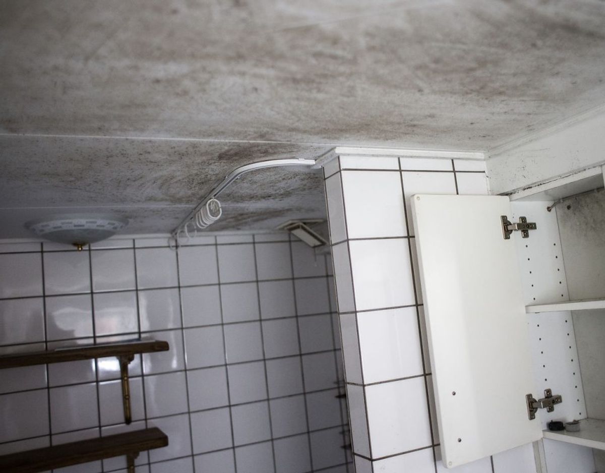 Skimmelsvamp på loftet skyldes ofte, at der ikke er nok ventilering, så fugt ikke kan slippe ud igen. Samtidig kommer der også let skimmelsvamp i badeværelser, fordi der per definition ofte er fugtigt her. Foto: Scanpix