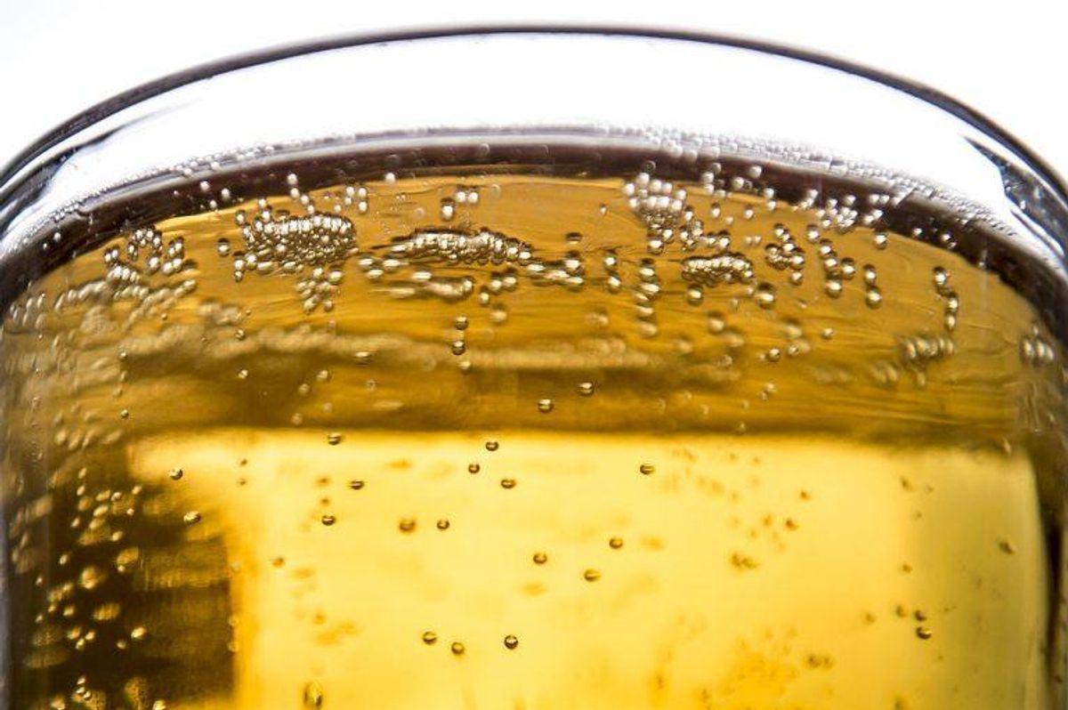 En kølig pilsner kan være læskende, men ikke hydrerende. Foto: Scanpix
