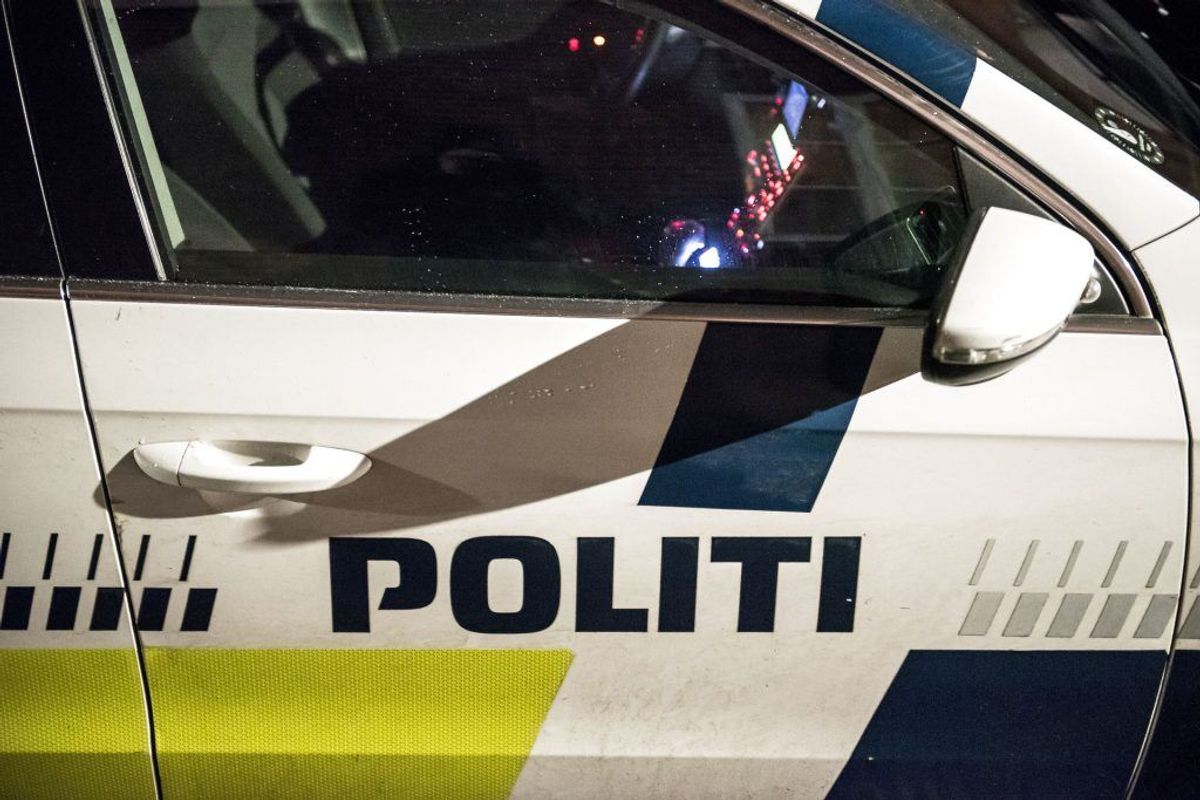 Lone Teglskovs kat Emil blev otte år. KLIK VIDERE OG SE, HVAD DU KAN GØRE, HVIS DU ER TRÆT AF FREMMEDE KATTE. Foto: Scanpix