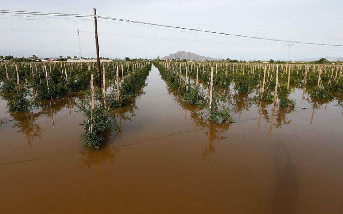Det voldsomme vejr har kostet flere mennesker livet. Foto: Scanpix.