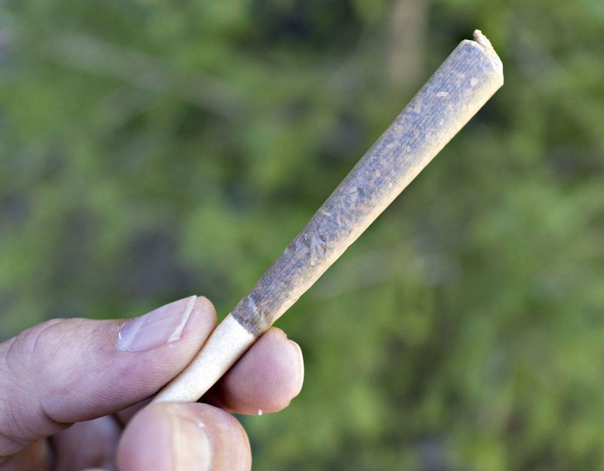 Det giver et klip i kørekortet, hvis man kører med en lav koncentration THC (hash) i blodet. Hvis man har en højere koncentration, kan man både få en betinget og ubetinget frakendelse af kørekortet. Foto: Scanpix