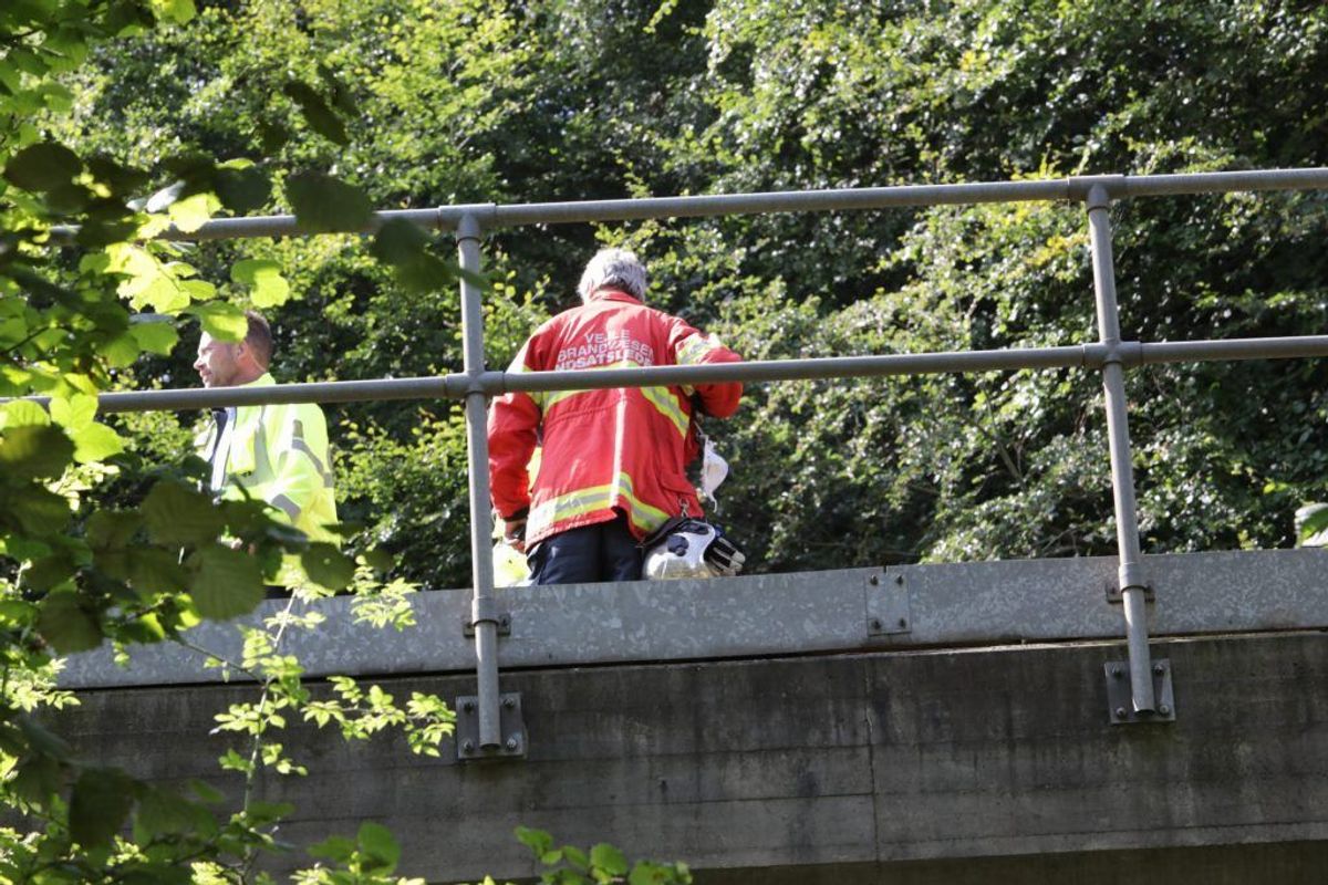 Ifølge DSB er en person ramt af et tog. Derfor er togdriften i øjeblikket indstillet. KLIK for flere billeder. Foto: Presse-fotos.dk.