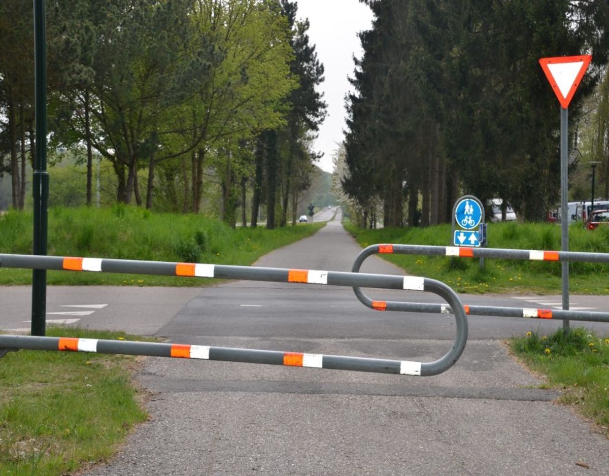 Fælles for de nye køretøjer er det, at de skal færdes på cykelstier. Klik videre for flere regler. Foto: Colourbox