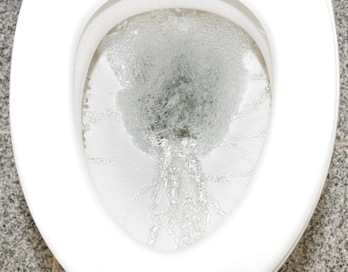 Mens rengøringsmidlet arbejder, gør du toilettet rent. Foto: Scanpix